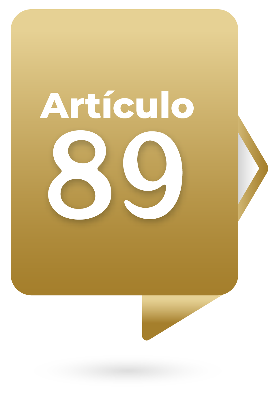 Artículo 89