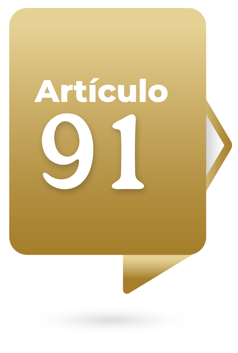Artículo 91