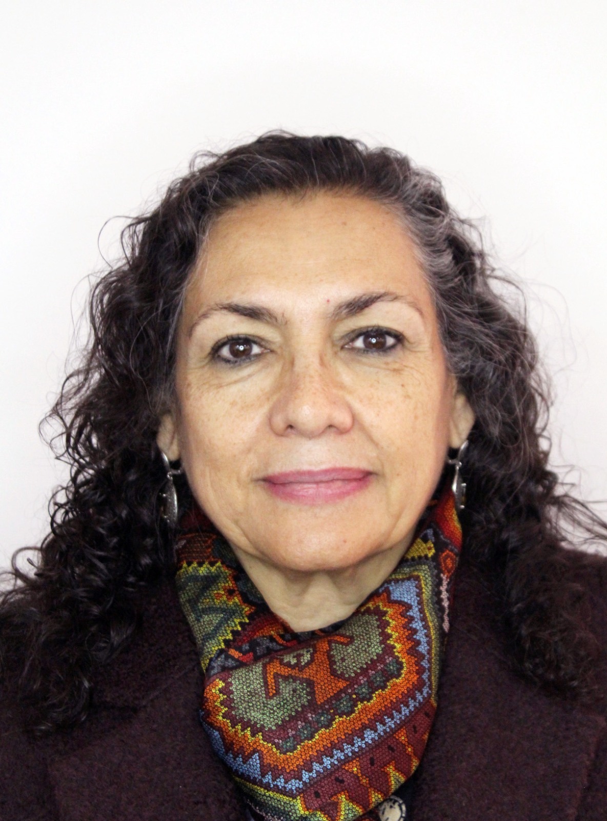 Titular de la Unidad de Transparencia de la Consejería Jurídica del Ejecutivo Federal