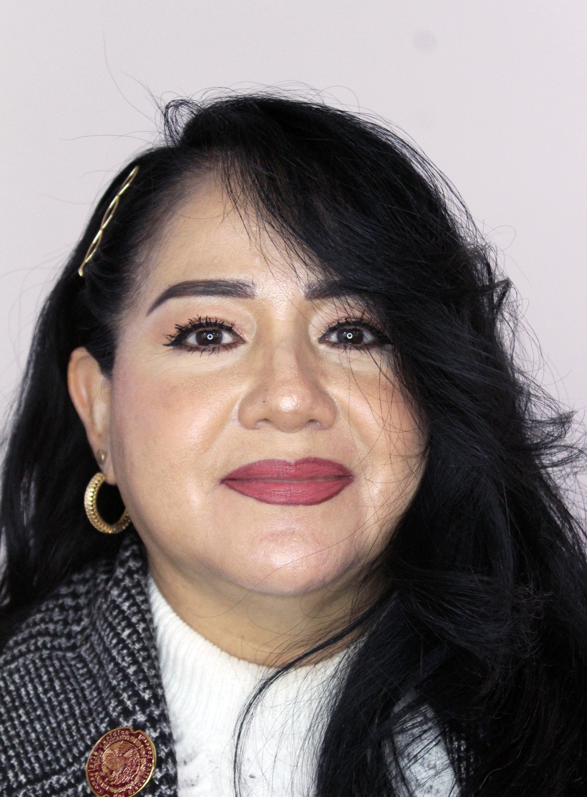Viridiana Sánchez Gamboa